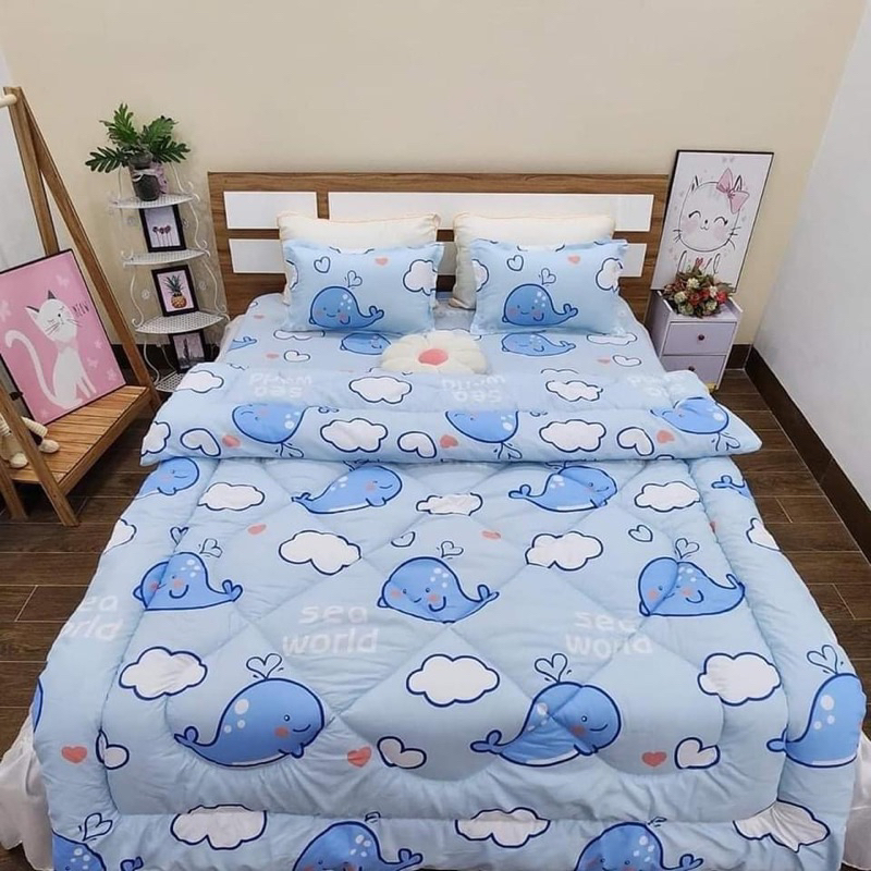 Set 5 món Chăn phao Trần bông bodecor cotton poly chăn 1m8 có ruột đủ mẫu siêu xinh