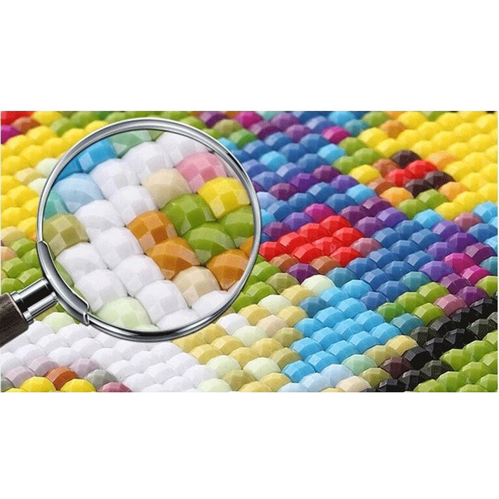 Tranh gắn đá đính kín toàn bộ Hoa Mẫu Đơn