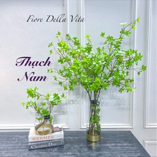Cành Thạch Nam giả trang trí nhà cửa, trang trí tiểu cảnh tạo không gian thanh tịnh.( nhiều mẫu)