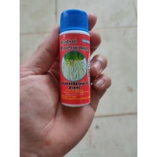 Thuốc kích rễ roots, ngăn ngừa thối rễ