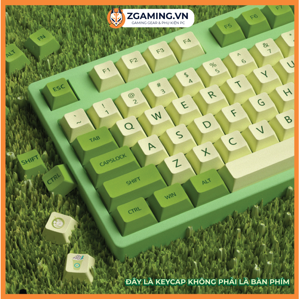 Keycap Bàn Phím Matcha | Profile XDA | PBT 126 Phím | Sẵn Hàng Giao Hỏa Tốc