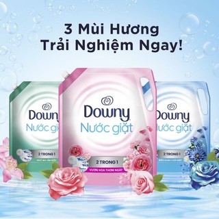 Nước giặt Downy 2 trong 1 túi 2.7L hương vườn hoa, biển xanh, khử mùi ẩm mốc