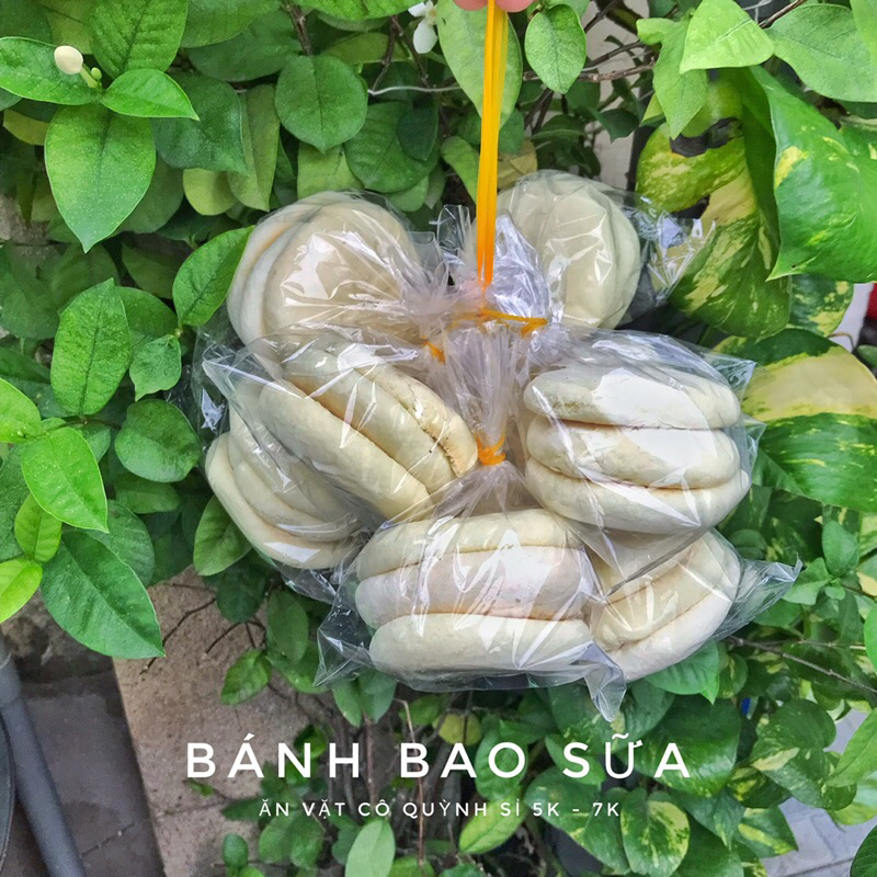 Bánh bao sữa - bánh bao matcha tuổi thơ