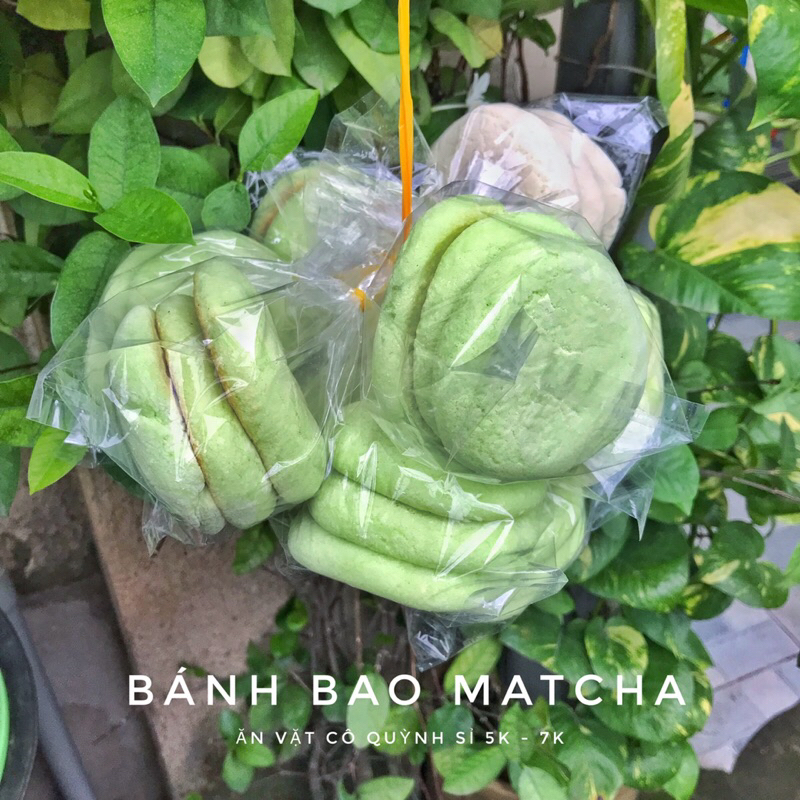 Bánh bao sữa - bánh bao matcha tuổi thơ