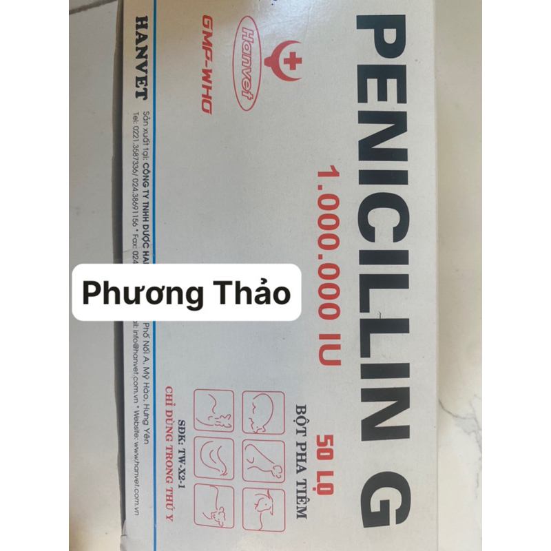 combo 3 lọ Penicillin bột 10%