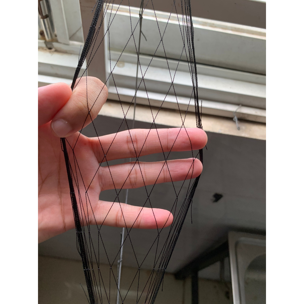 Combo 1 loa bluetooth + 1 thẻ nhớ + 10 cung bẫy chim cút | HÀNG CHUẨN