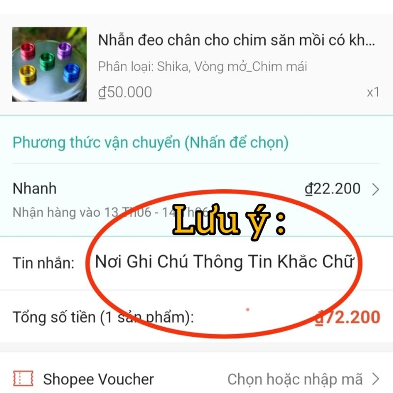 COMBO DÂY XÍCH VÀ VÒNG KHÓA BẰNG INOX CHO VẸT CÓ KHẮC TÊN VÀ SỐ ĐIỆN THOẠI