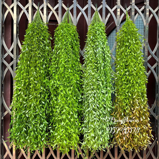 Dây cúc tần giả dây cúc tần ấn độ giả decor siêu xinh