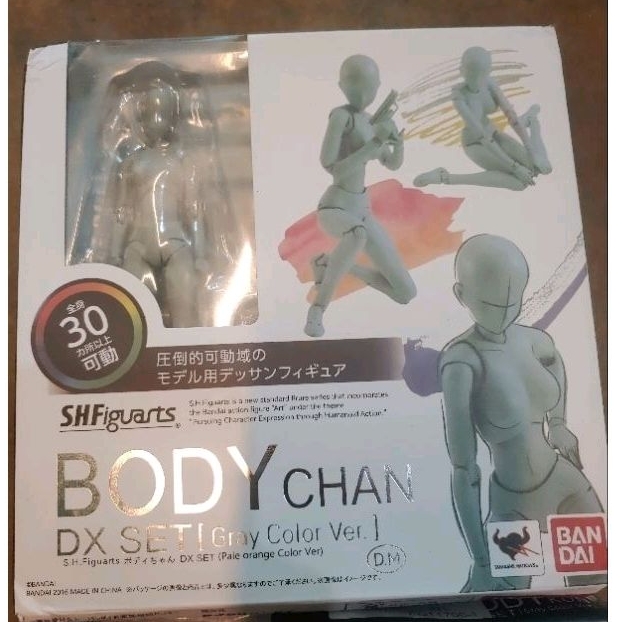 Mô hình đồ chơi cơ thể người kiểu Nam / Nữ chất lượng cao SHF màu xám