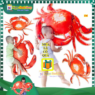 Gấu bông con cua đỏ 3d ghẹ bông,tôm hùm alaska nhồi bông cho bé siêu cưng đẹp như ảnh rất đẹp