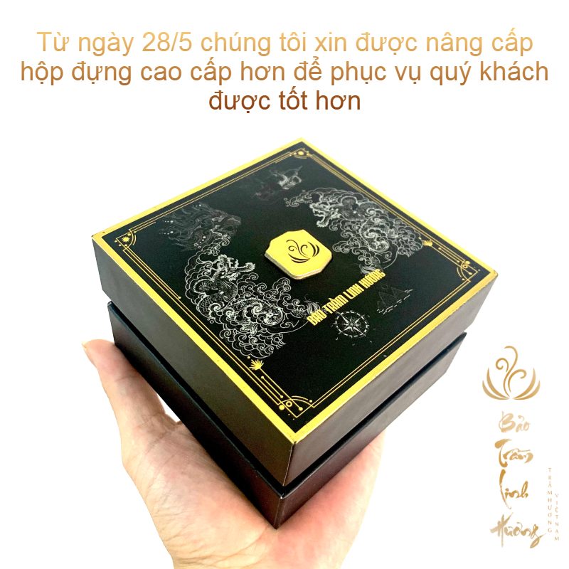 Vòng Trầm Hương [ Chính Hãng ] Hạt Sánh Trúc Mix Vàng Chữ Phúc Đeo Tay Phong Thủy Tự Nhiên Size 10 12 14 Quà Tặng Nam Nữ