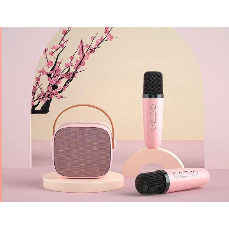 Bộ Loa Kèm 2 Mic Karaoke Bluetooth Di Động Chính Hãng ChangHong