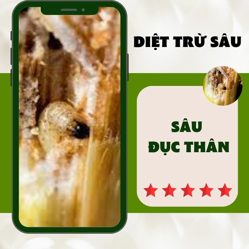 Diệt sâu đục thân,chế phẩm sinh học biogreen555 diệt các loại sâu phá hoại rau màu, cây ăn trái 100ml