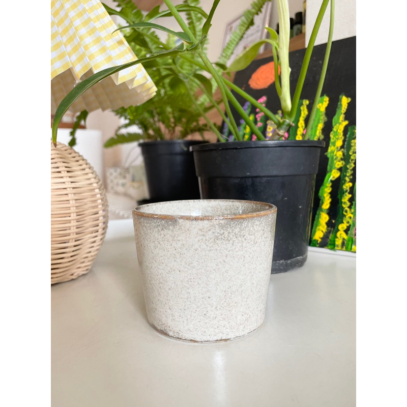 Cưng Ha Home -  - Ly sứ uống trà màu be