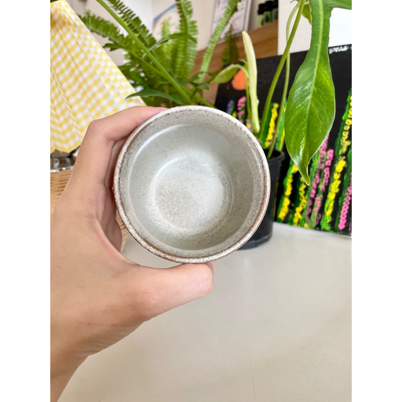 Cưng Ha Home -  - Ly sứ uống trà màu be