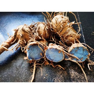 1kg Tinh Bột Nghệ Đen Nguyên Chất