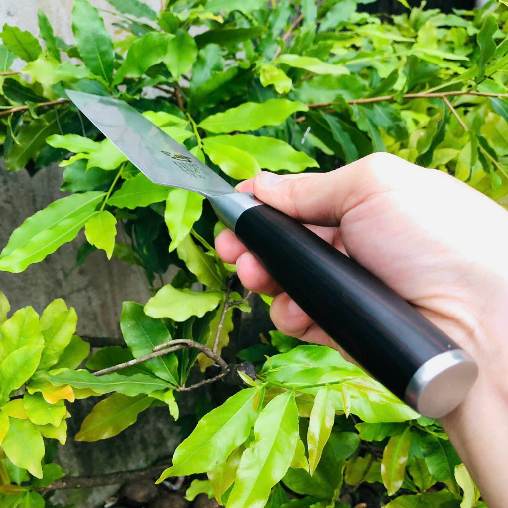 Dao Kai Nhật Mẫu Vuông dùng thái lọc, hàng chính hãng