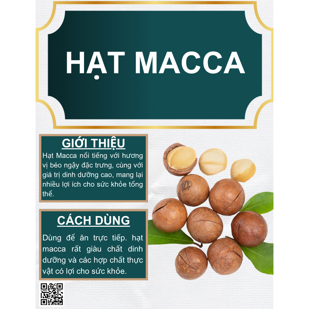 Hạt Macca Măng Đen 250g Đặc Sản Măng Đen Kon Tum