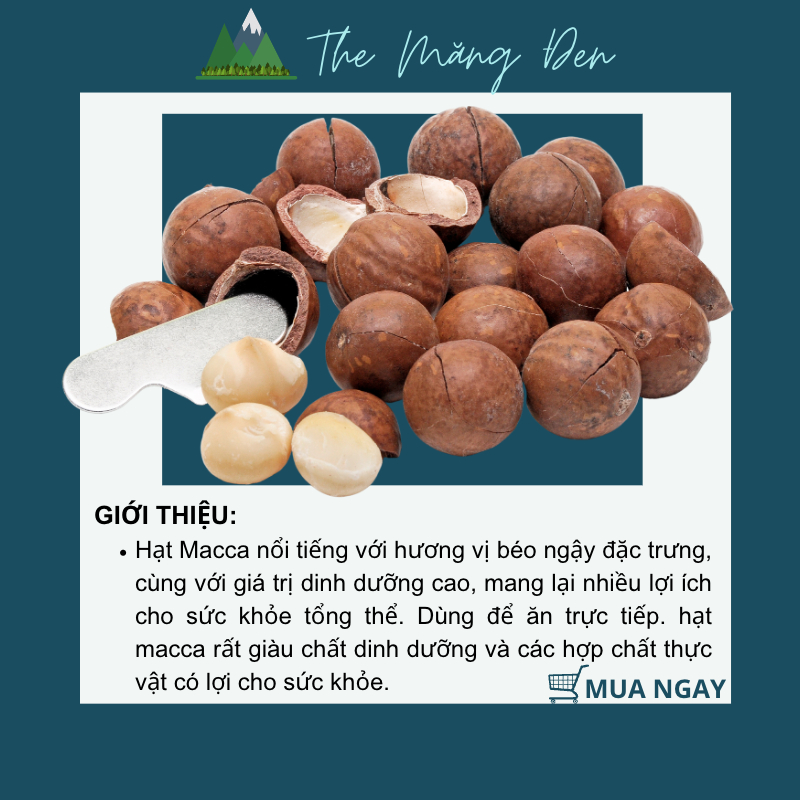 Hạt Macca Măng Đen 250g Đặc Sản Măng Đen Kon Tum