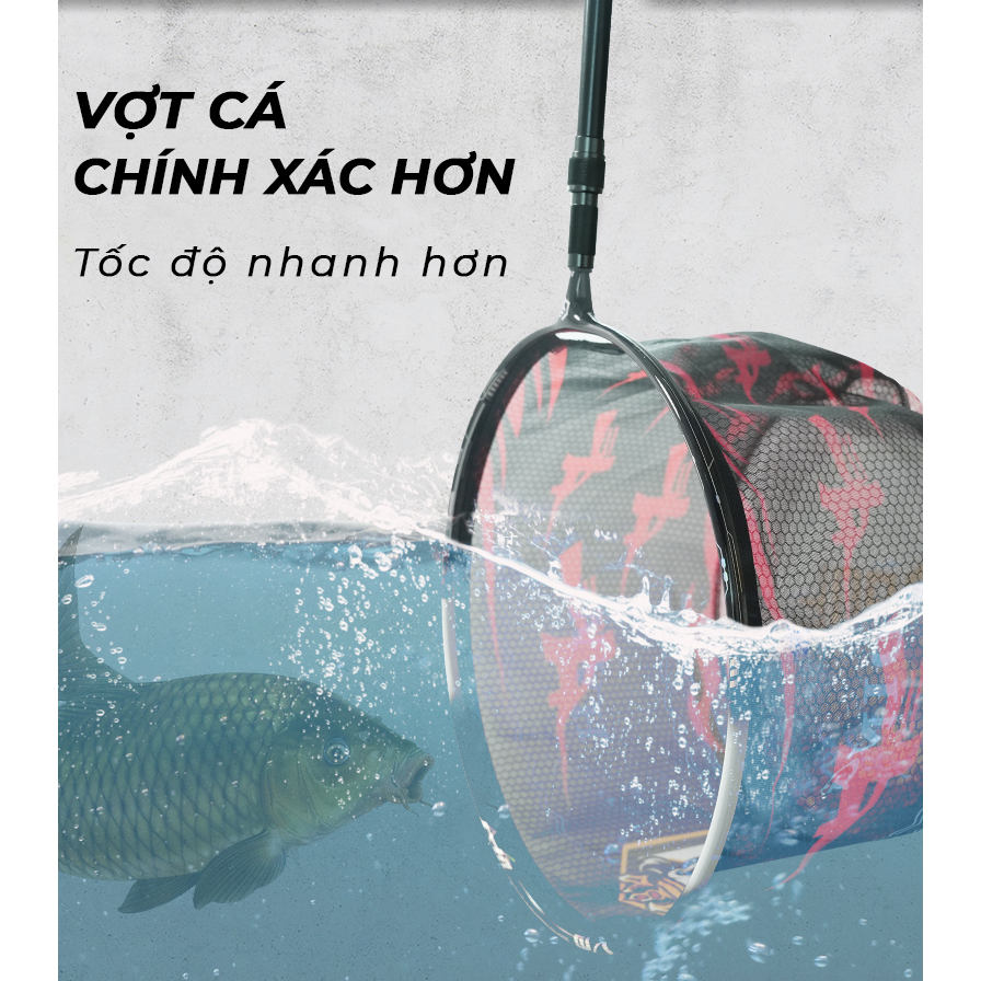 Mặt Vợt Đông Sơn