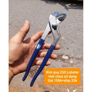 Kìm quạ Lobster