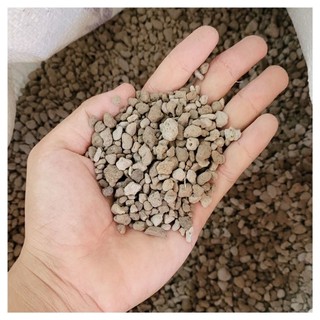 Đá Pumice Indonesia đá bọt núi lửa trộn giá thể 0,5-1kg