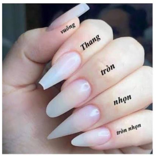Nailbox hồng thạch charm tim