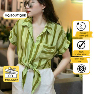 Áo cộc tay cao cấp sơ mi công sở tay cánh dơi kẻ dọc nhiều màu có túi nơ gấu, áo sơ mi họa tiết thiết kế MQ Boutique