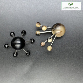 Nhện đa năng nhỏ bằng sừng  - Diện Chẩn Thân Tâm
