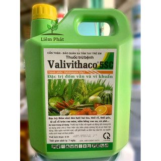 1 can valivithaco 5SC phòng đốm vằn và vi khuẩn trên lúa