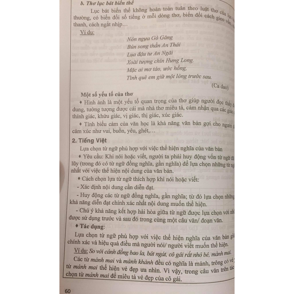 Sách - Hướng dẫn học Ngữ Văn 6