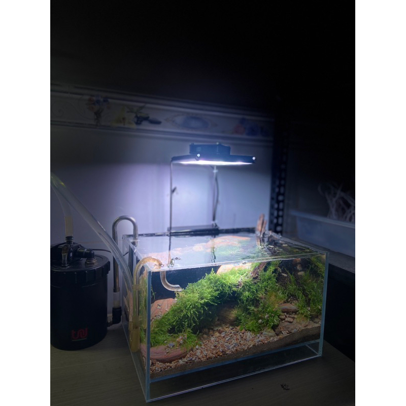 Đèn Thuỷ sinh Nano 5054 WRGB - UvA