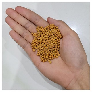 Phân tan chậm hạt vàng thái lan osmocote npk 14-14-14 50g/100g