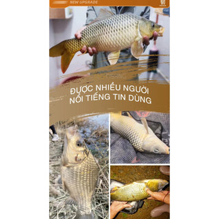 Cần Gama FX Đại Thắng 4.5h 5.5h 6.5h ( tặng ngọn 1 + đốt 2 , bảo hành 1 năm )