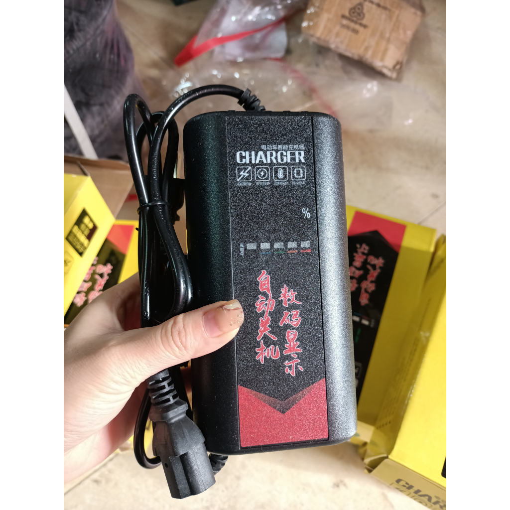 Sạc xe điện 48V-20a & 30ah