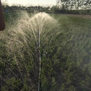 Dây tưới phun mưa phi 34 - 5 lỗ phun - cuộn 100m