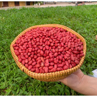Lạc ri vỏ đỏ lục yên-đặc sản tây bắc