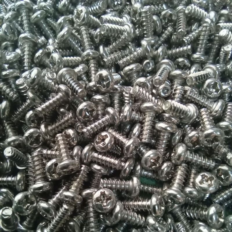 100 GAM VÍT BẮT SÒ