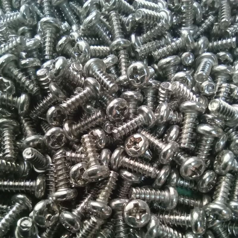 100 GAM VÍT BẮT SÒ