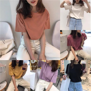 Áo phông nữ trơn tay ngắn nhà LAM, áo thun trơn cotton nữ chất đẹp mềm phom Basic thời trang