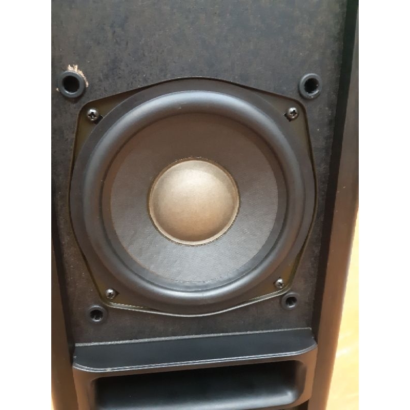 Sub điện Sony SA-W900