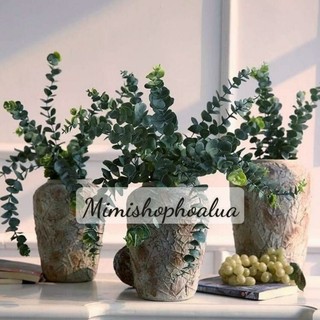 Cành Lá Táo , Lá Bạch Đàn dài  5 nhánh- 8 nhánh trang trí nhà cửa , phụ kiện chụp hình.