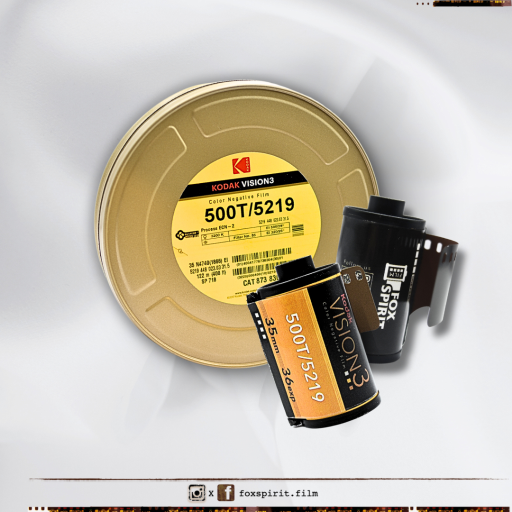 CineFilm - Kodak Vision3 - 500T/5219 - 36exp - 35mm film cine chiết