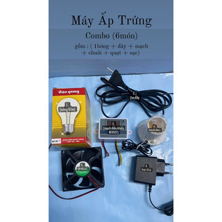 Combo 6 món tự làm máy ấp trứng tại nhà đơn giản