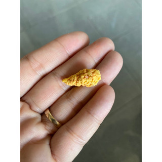 Mô hình đùi gà mini nhỏ xíu 1/12 bằng đất sét
