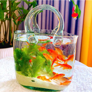 Bình giỏ xách thủy tinh cao cấp nuôi cá và cắm hoa