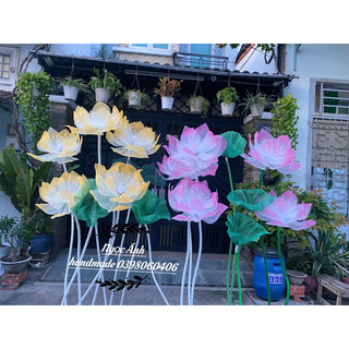 đầu bông hoa sen khổng lồ