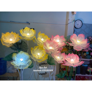 đầu bông hoa sen khổng lồ