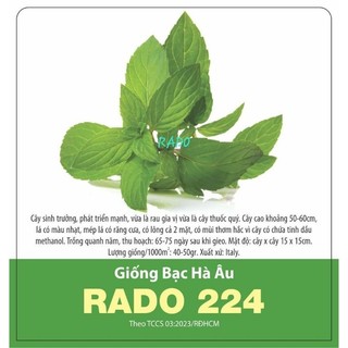 Hạt giống bạc hà âu rạng đông gói 0.2gr