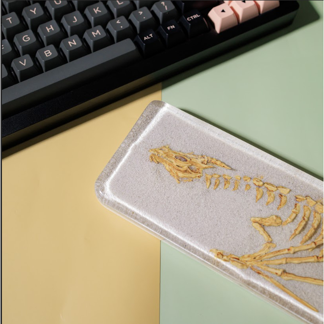 Kê tay bàn phím Xương Rồng hóa thạch, chất liệu resin bền đẹp chống cong, GMMK Pro Kê tay